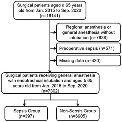 Tree-based, two-stage risk factor analysis for postoperative sepsis based on Sepsis-3 criteria in elderly patients: A retrospective cohort study